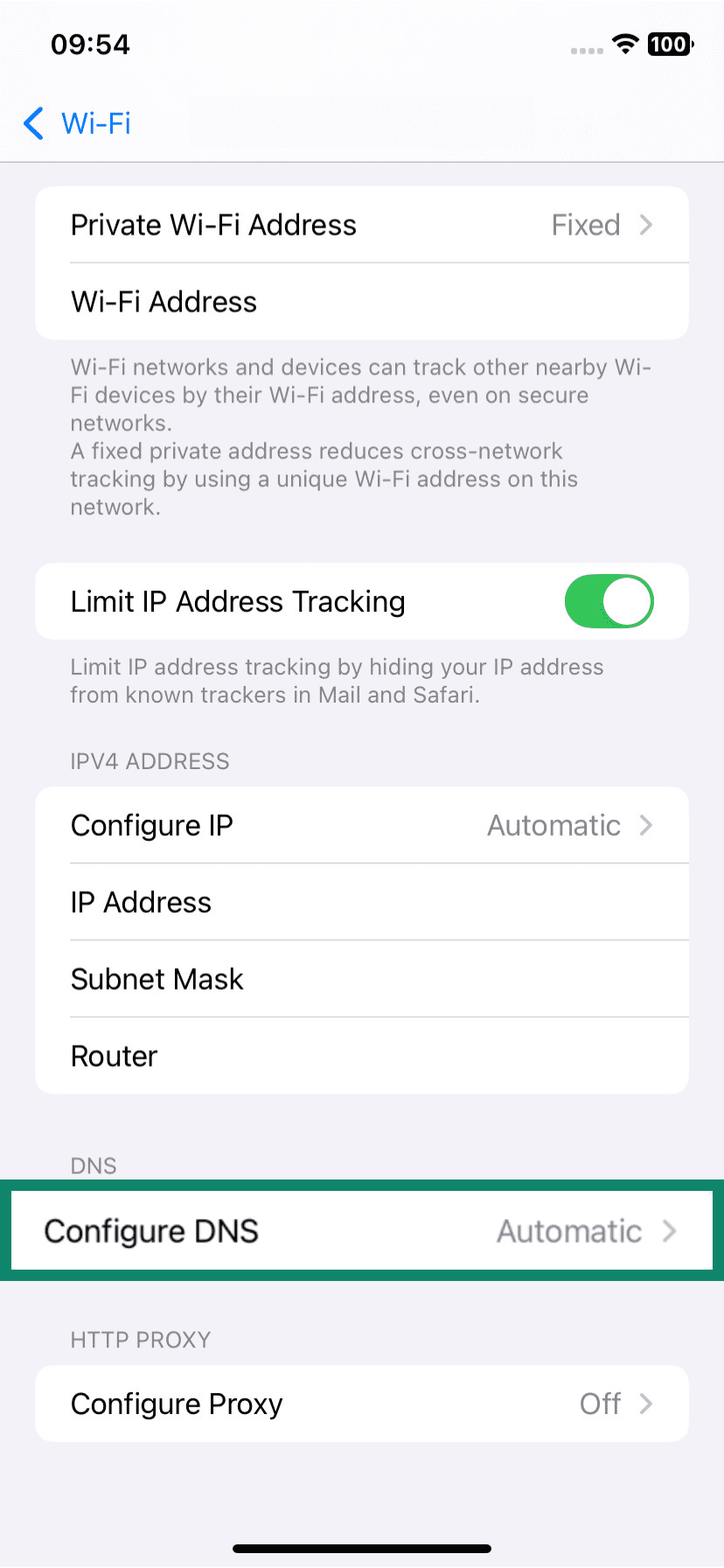 The network information page of an iOS device, showing the Configure DNS menu option.