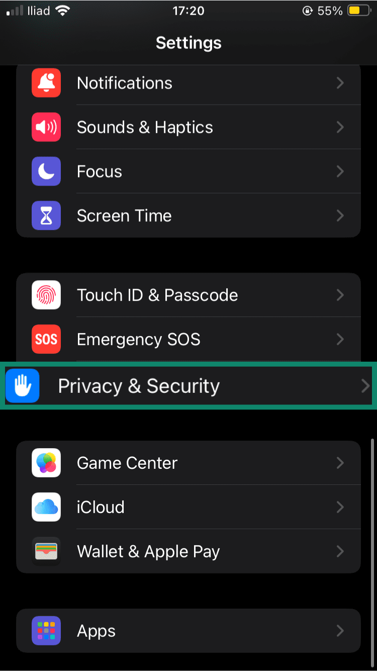 Settings menu, showing a highlighted "Privacy and Security" option.
