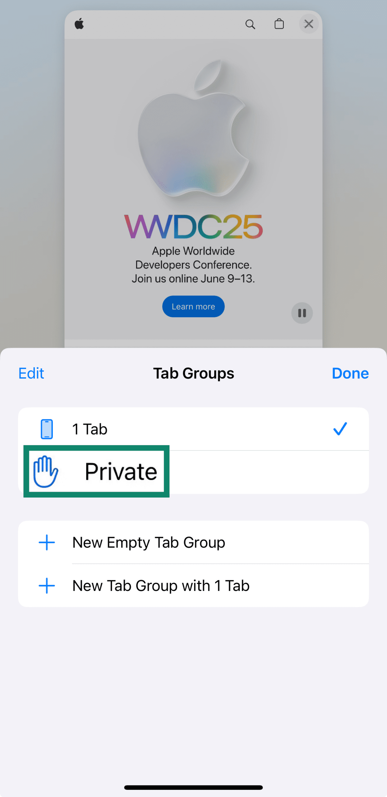 The Safari Private tab on an iPhone.