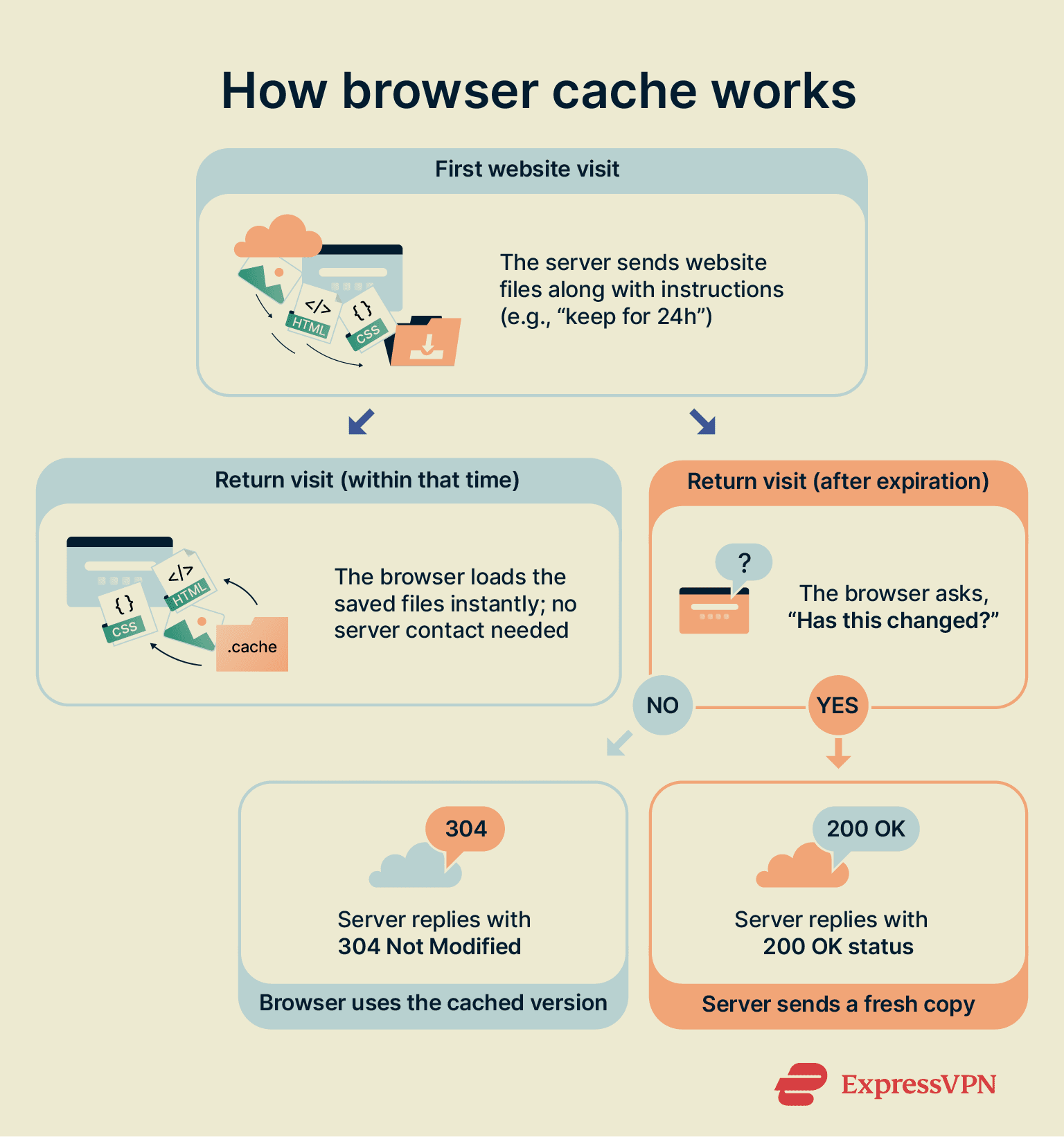 How browser cache saves website files locally on the first visit and reuses them on subsequent visits.