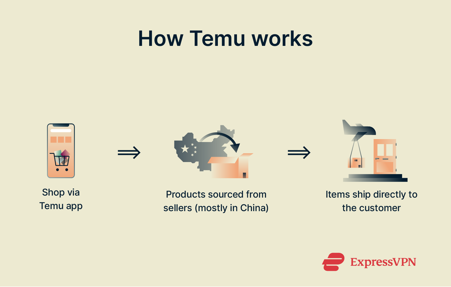 Infographic showing how Temu works.