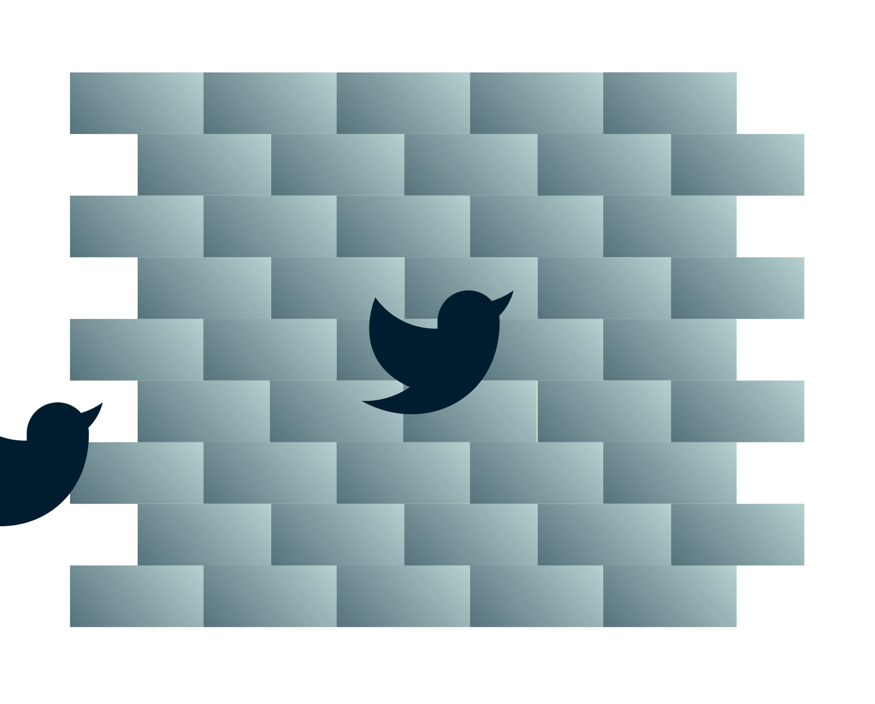 Gli uccelli di Twitter si dirigono verso un muro.