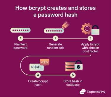 How bcrypt creates and stores a password hash